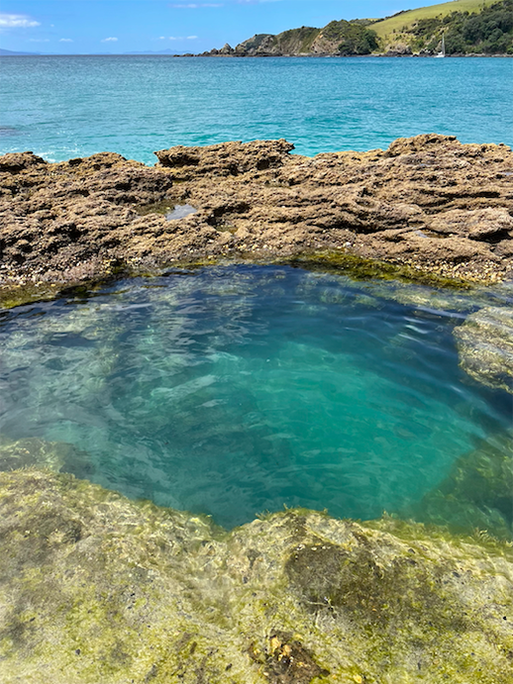 Rock pool